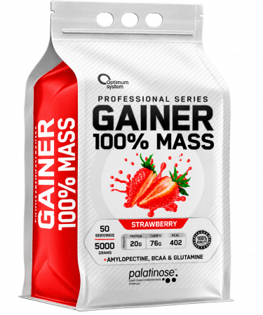 100% Mass Gainer 5000 грамм (Клубника)