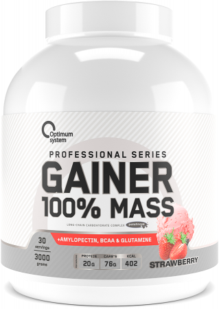 100% Mass Gainer 3000 грамм (Клубника) 100% Mass Gainer 3000 грамм (Клубника)
