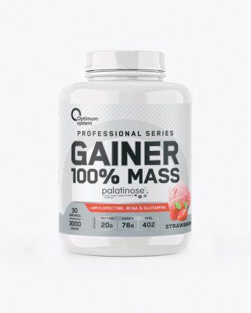 100% Mass Gainer 3000 грамм (Клубника) 100% Mass Gainer 3000 грамм (Клубника)