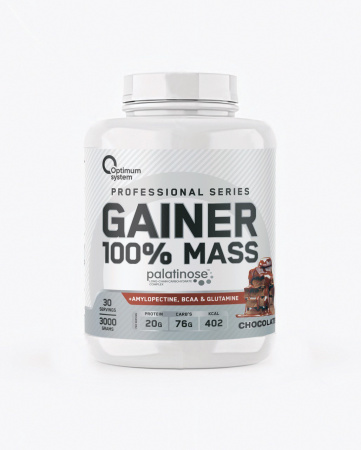 100% Mass Gainer 3000 грамм (Шоколад)